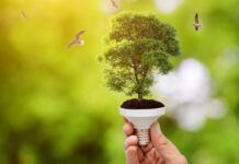 Schneider Electric es elegida como la mejor organización de la cadena de suministro sostenible global Schneider Electric presentó su informe de sostenibilidad del tercer trimestre del 2024.