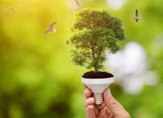 Schneider Electric es elegida como la mejor organización de la cadena de suministro sostenible global Schneider Electric presentó su informe de sostenibilidad del tercer trimestre del 2024.