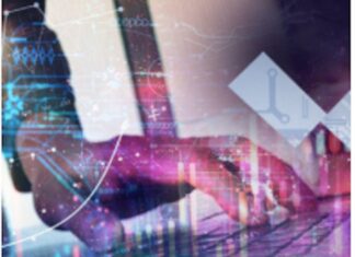 Evitar el robo de billeteras de criptomonedas en OpenSea, el mayor mercado de NFT del mundo