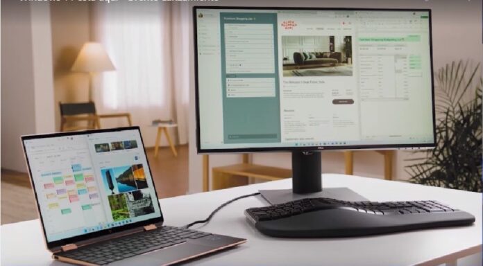 windows 11