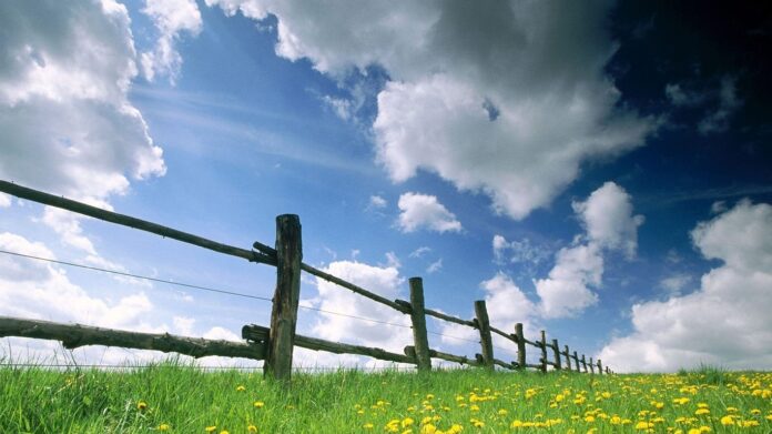 sunlight-landscape-flowers-grass-sky-field-780171-wallhere.com