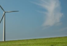 Lideres de la industria optan por medidas significativas contra el cambio climático