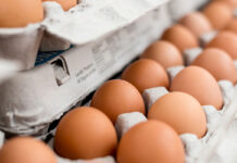 La digitalización revolucionará la industria de alimentos