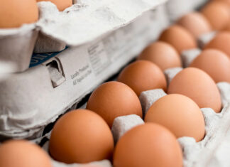 La digitalización revolucionará la industria de alimentos
