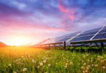El rol esencial de las soluciones IIoT para lograr una mayor eficiencia energética