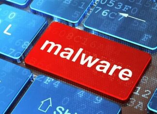 Microsoft bloqueó al botnet criminal llamado Zloader