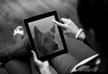 Catfishing apropia la identidad de otro en redes sociales o plataforma de citas