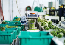 Un futuro sustentable a través de la cadena de suministro de alimentos