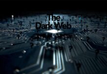 La Dark Web, fuerte aliada de los ciberdelincuentes