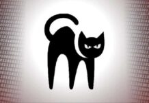 Alphv / Blackcat ransomware: una amenaza para Latinoamérica
