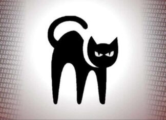 Alphv / Blackcat ransomware: una amenaza para Latinoamérica