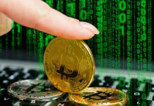 Cryptoscam y la protección contra el fraude Criptomonedas