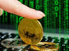 Cryptoscam y la protección contra el fraude Criptomonedas