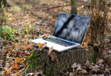 Latam Digital Equity Challenge: Conoce los seleccionados