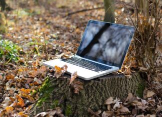 Latam Digital Equity Challenge: Conoce los seleccionados