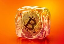 DoubleFinger: malware sofisticado apunta a las criptobilleteras en América Latina