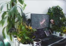 Cómo las PyMEs pueden tener un impacto ambiental positivo