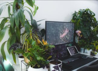 Cómo las PyMEs pueden tener un impacto ambiental positivo