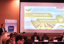 5G, inteligencia artificial y la nube: la sinergia que generará un valor agregado en el sector agrícola
