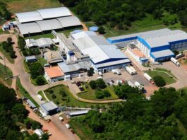 Caso de Éxito: ¿Cómo hizo La Cooperativa Fernheim para reducir drásticamente los tiempos de recupero de información?