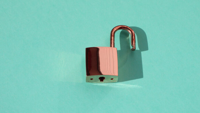 Ciberseguridad.