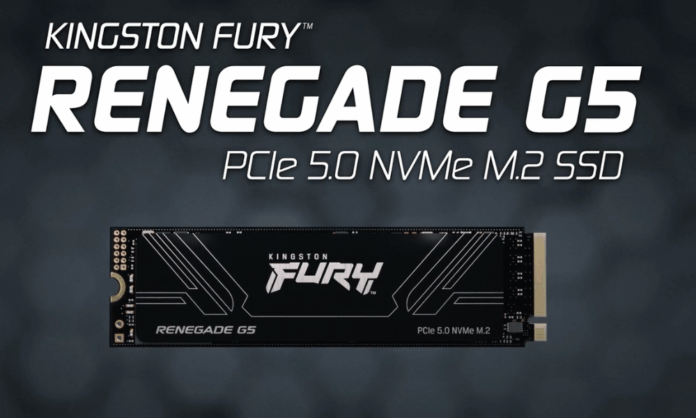 Kingston Renegade G5 (2)