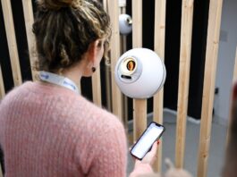 La nueva World App: chat encriptado y pagos globales para todos Orb