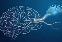 Las empresas que la activan la neuroplasticidad organizacional son más exitosas en sus transformaciones