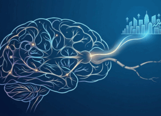 Las empresas que la activan la neuroplasticidad organizacional son más exitosas en sus transformaciones
