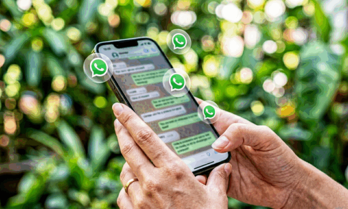 Canal WhatsApp para Binance en LATAM Canal WhatsApp para Binance en LATAM