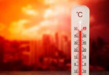 México bajo presión térmica: más calor, más consumo y mayor riesgo eléctrico Las temperaturas en México están marcando un cambio que ya se refleja en la operación diaria de empresas y en el consumo energético.