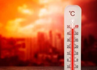 México bajo presión térmica: más calor, más consumo y mayor riesgo eléctrico Las temperaturas en México están marcando un cambio que ya se refleja en la operación diaria de empresas y en el consumo energético.